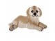 Vlněný kusový koberec pejsek Dog - 60*90*2 cm
