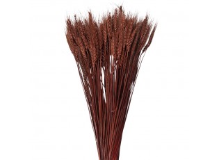 Hnědá pšeničné sušené klasy - 80 cm (200 gr)