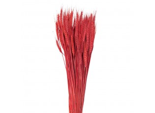 Červená květina pšeničné sušené klasy - 80 cm (200 gr)