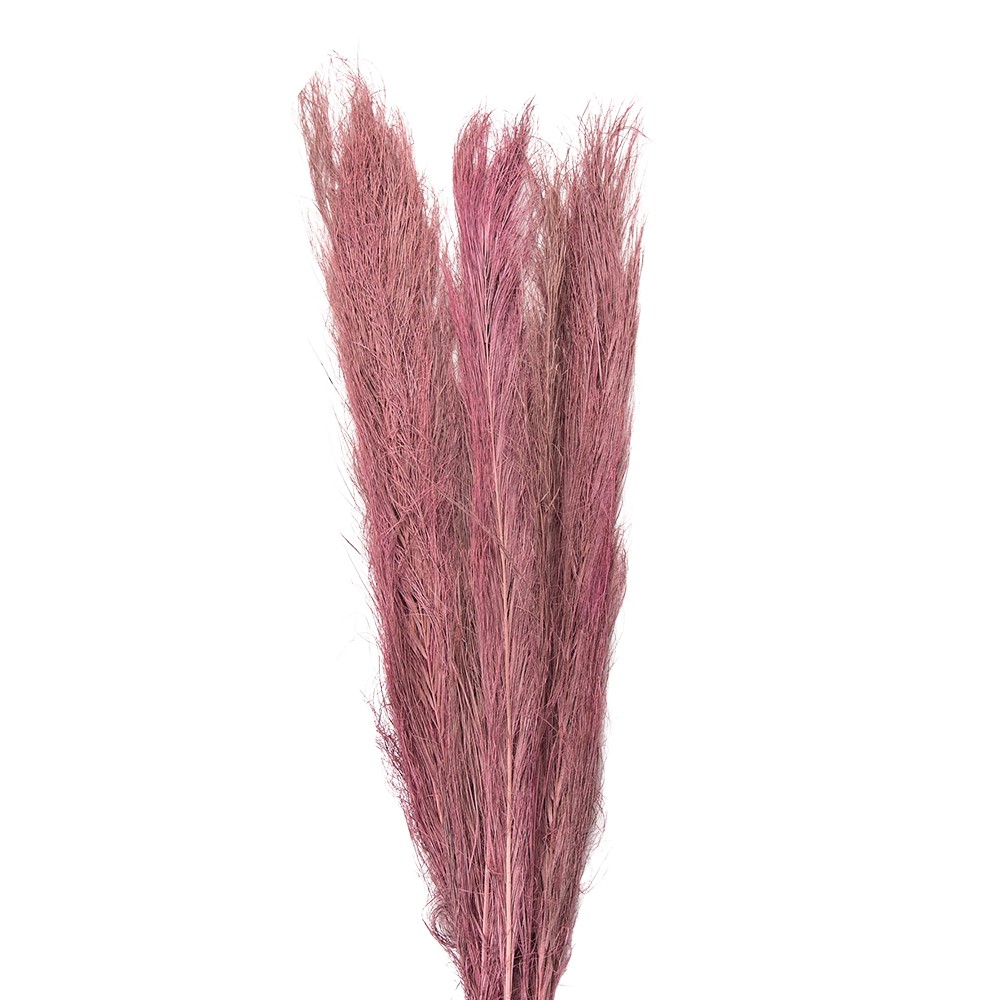 Dekorace růžová sušená květina - 100 cm (15ks)