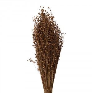 Béžová kytice sušený len - 60 cm (100 gr)