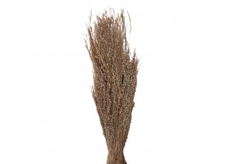 Dekorace béžová sušená květina - 60 cm (100 gr)