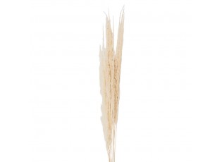 Přírodní béžová kytice sušené květy trávy - 90 cm (10ks)