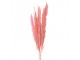 Dekorace růžová sušená květina - 100 cm 