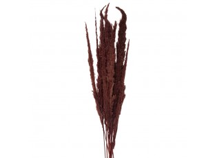 Dekorace hnědá sušená květina - 100 cm (10)
