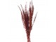 Dekorace vínová sušená květina - 85 cm (100 gr)
