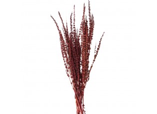 Dekorace vínová sušená květina - 85 cm (100 gr)