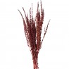 Dekorace vínová sušená květina - 85 cm (100 gr) Barva: vínováMateriál: sušený přírodní produktHmotnost: 0,112 kg