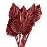 Vínová kytice sušené palmové listy - 55 cm (12ks) Barva: vínováMateriál: sušené palmové listyHmotnost: 0,124 kg