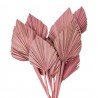 Růžová kytice sušené palmové listy - 55 cm (12ks) Barva: růžováMateriál: sušené palmové listyHmotnost: 0,124 kg