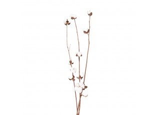 Bílo hnědá sušená květina - 80 cm 