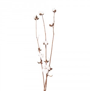 Bílo hnědá sušená květina - 80 cm 