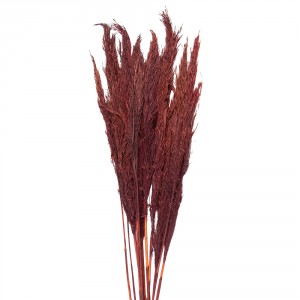 Vínová kytice sušené květy bambusu Bamboo - 100 cm (10ks)
