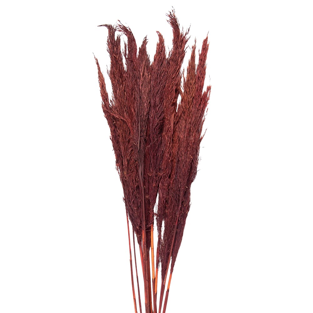 Vínová kytice sušené květy bambusu Bamboo - 100 cm (10ks)