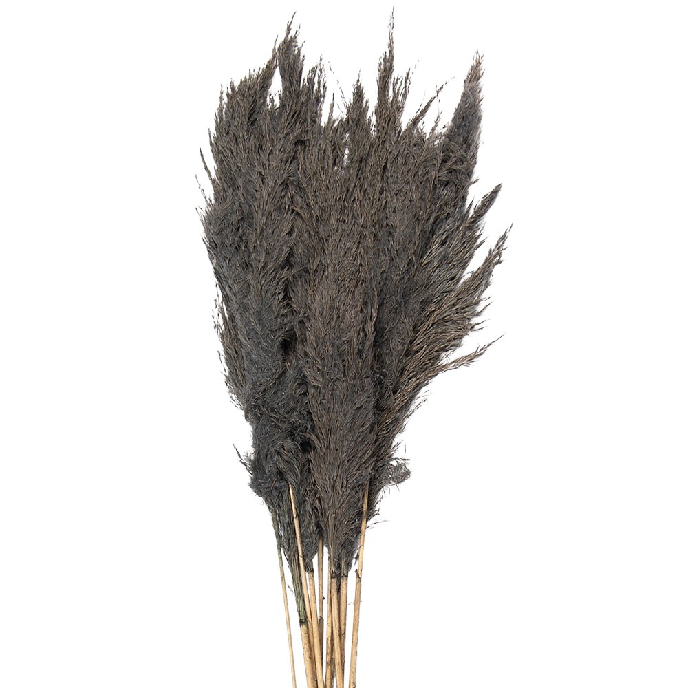 Šedá kytice sušené květy bambusu Bamboo - 100 cm (10ks)