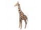 Dekorace socha žirafa Giraffe - 35*14*67 cm