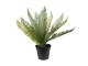 Dekorační zelená umělá rostlina kapradí - 50*50*38 cm