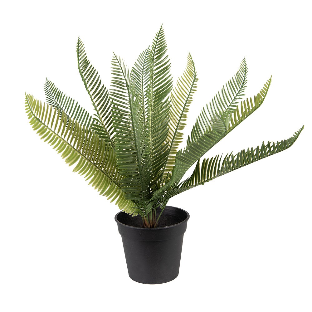 Dekorační zelená umělá rostlina kapradí - 50*50*38 cm Clayre & Eef
