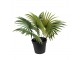 Dekorační zelená umělá rostlina palma - 43*40*33 cm