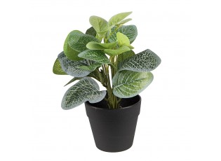 Dekorační zelená umělá rostlina - 20*20*22 cm
