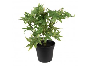 Dekorační zelená umělá rostlina - 34*34*36 cm