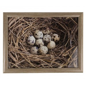 Podnos na nohy s křepelčími vajíčky v hnízdě Egg - 43*33*7cm
