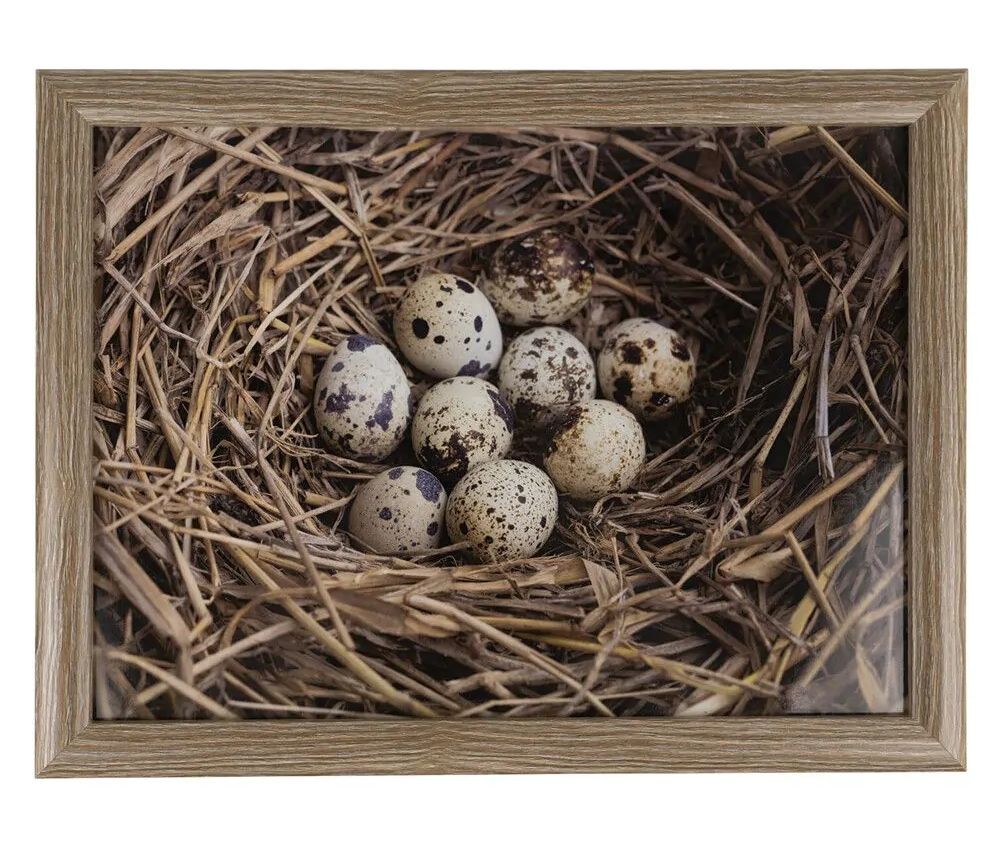 Podnos na nohy s křepelčími vajíčky v hnízdě Egg - 43*33*7cm