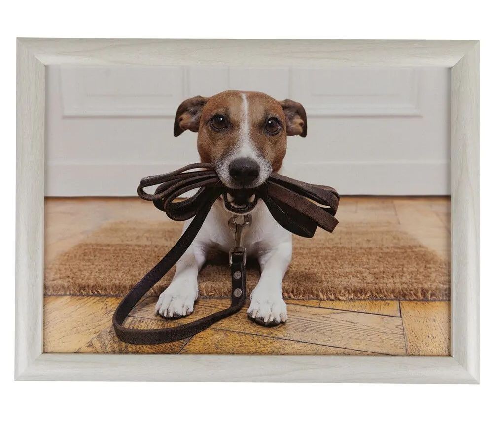 Podnos na nohy se psem Jack Russell - 43*33*7cm
