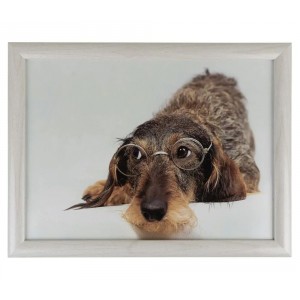 Podnos na nohy s jezevčíkem v brýlích Dachshund humour - 43*33*7cm
