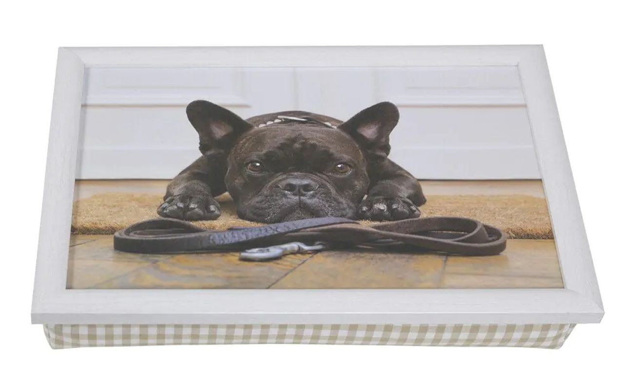 Podnos na nohy s buldočkem French Bulldog humour - 43*33*7cm