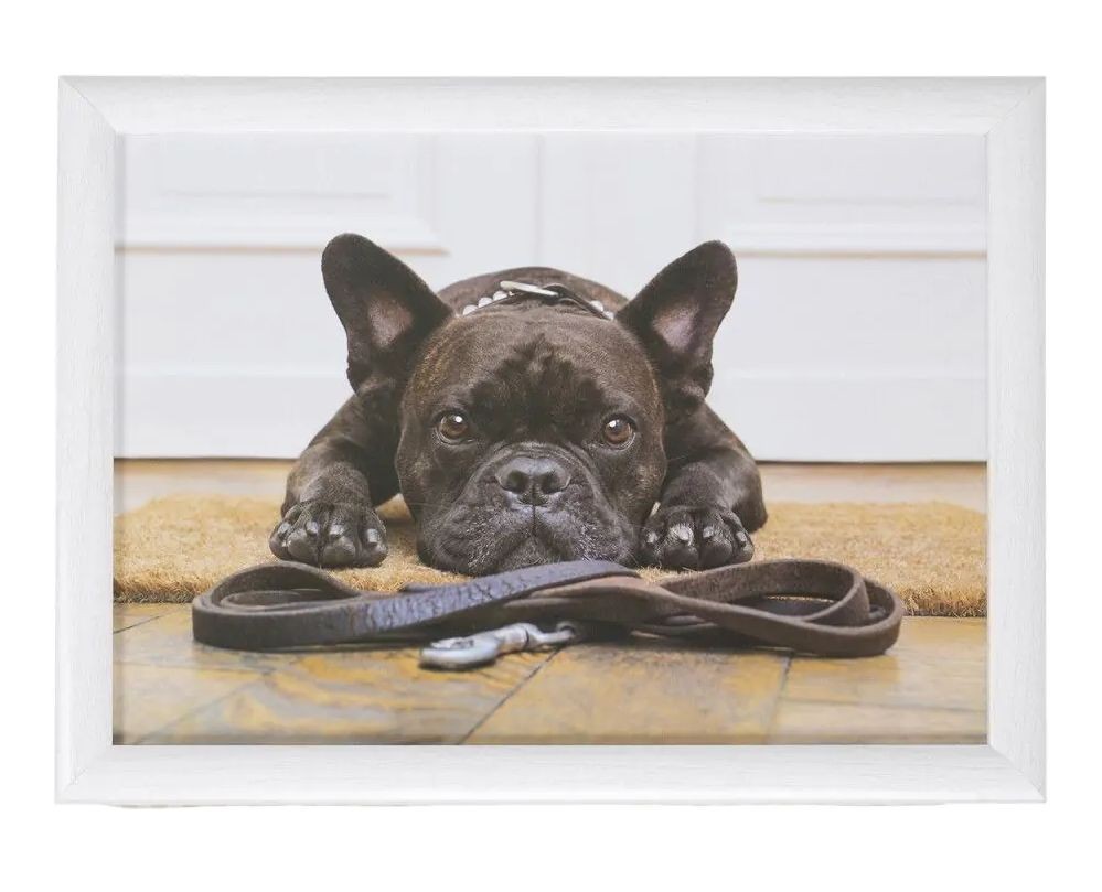 Podnos na nohy s buldočkem French Bulldog humour - 43*33*7cm