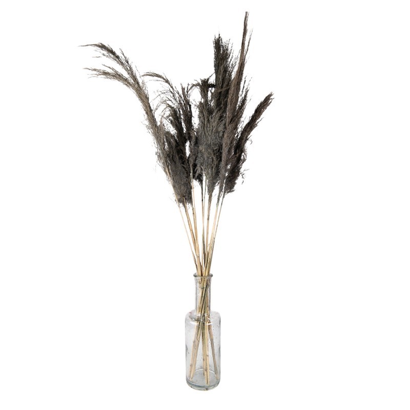 Šedá kytice sušené květy bambusu Bamboo - 100 cm (10ks)