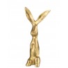 Zlatý raw kovový zajíc Rabbit gold S - 10*5*20cm
Barva : zlatá antikMateriál : hliník raw
