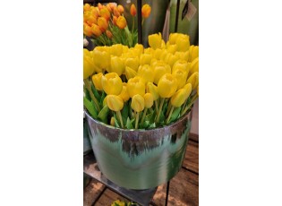 Kytice 7ks žlutých realistických tulipánů - 31cm