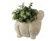 Béžový cementový květináč hrošík Hippo - 22*13*20 cm