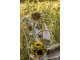 Béžová bavlněná utěrka se slunečnicemi Sunny Sunflowers - 50*70cm