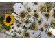 Béžová kulatá bavlněná utěrka se slunečnicemi Sunny Sunflowers - Ø 80 cm