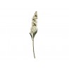 Dekorace umělá krémová květina Delphinium cream - 80 cm Barva: zelená, krémováMateriál: pvc