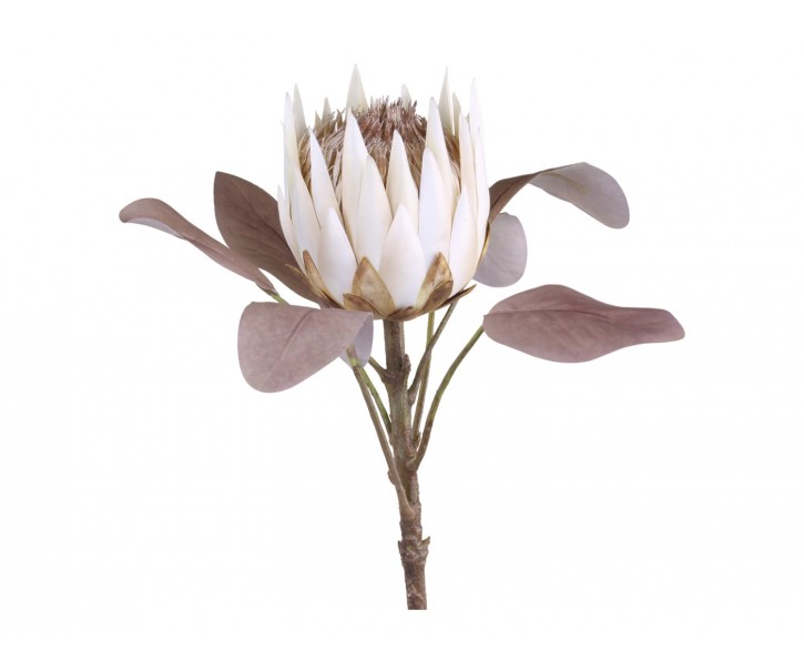 Dekorace umělá krémová květina Protea cream - 66 cm