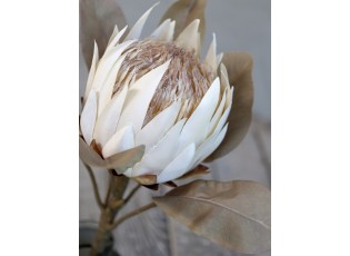 Dekorace umělá krémová květina Protea cream - 66 cm