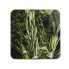 6ks pevné korkové podtácky bylinky Herbs - 10*10*0,4cm Barva: multiMateriál: MDF, korek, tištěný umělecký papírHmotnost: 0,16 kg