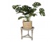 Dřevěný dekorativní shabby chic stůl na rostliny - Ø 40*31 cm