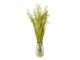 Dekorace zelená sušená květina - 90 cm (50 gr)