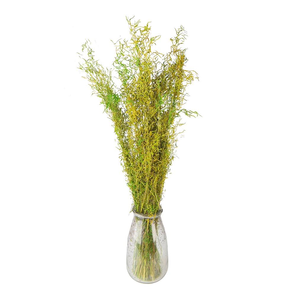 Dekorace zelená sušená květina - 90 cm (50 gr)