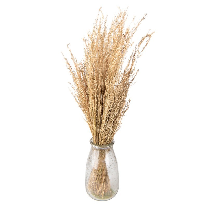 Dekorace béžová sušená květina - 60 cm (100 gr)