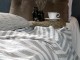 Béžovo - taupe pruhovaný pléd s třásněmi Stripes - 130*170 cm