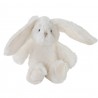 Plyšová dekorační hračka bílý zajíček Cuddly Bunny - 6*12*16cm Barva: bílá offMateriál: polyesterPéče : praní na 30st