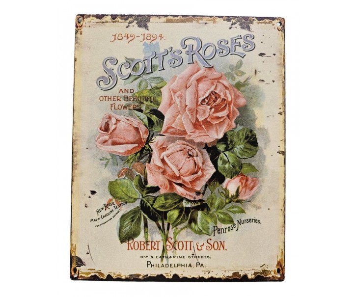 Béžová nástěnná kovová cedule s růžemi Scotts Roses - 20*25 cm