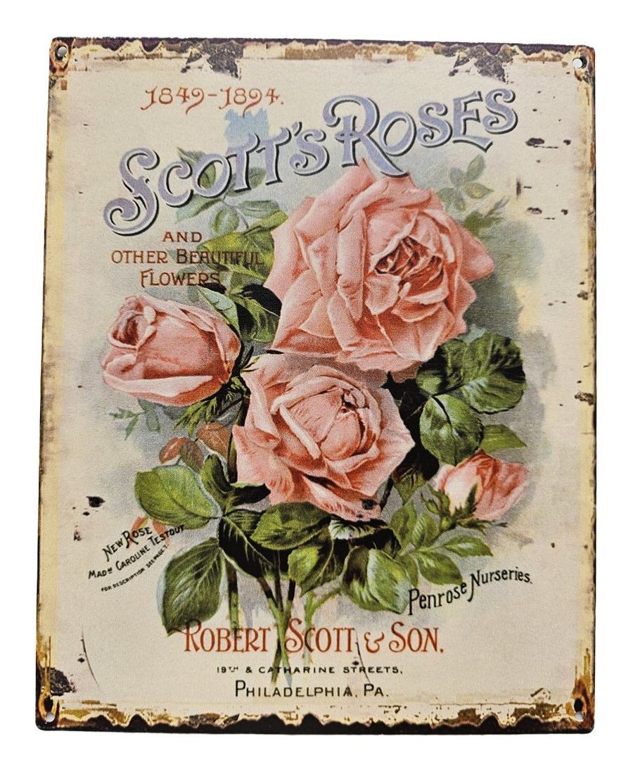 Béžová nástěnná kovová cedule s růžemi Scotts Roses - 20*25 cm Ostatní