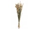 Sušená dekorativní květina Bundle Plume - 16*16*84 cm